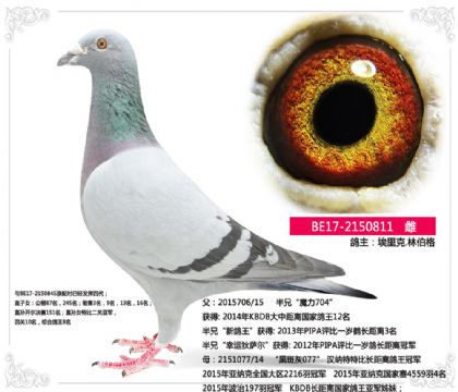 埃里克.林伯格 ---半兄“魔力704”直女811 雌