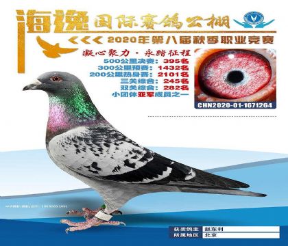 河北海逸賽鴿公棚500公里決賽395名 雄