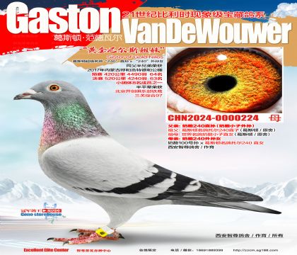 240Ѫ
