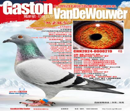 240Ѫ