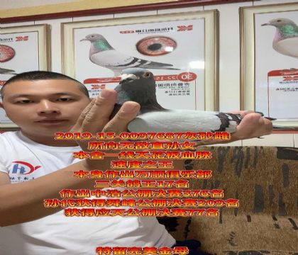 피ĸoֱOŮ컨Ѫ}