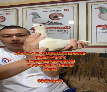 100܊壡ţȮѪĸ