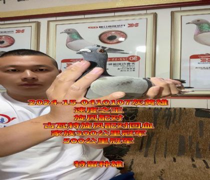 ٶ֮L(fng)䌦ѪN