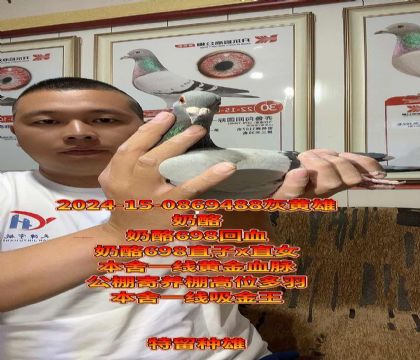 һSѪ}Nۡ698ֱxֱŮ