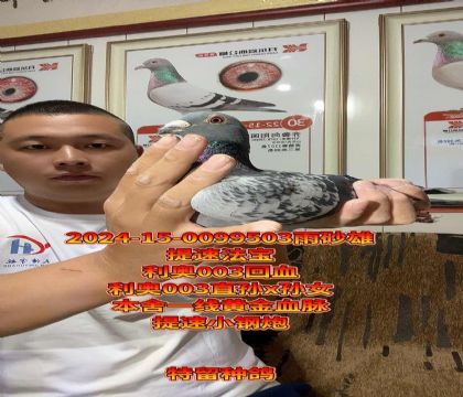 ٷW003ֱOxOŮѪN