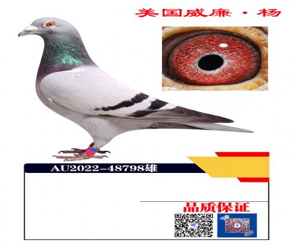 ܊O798