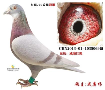 游