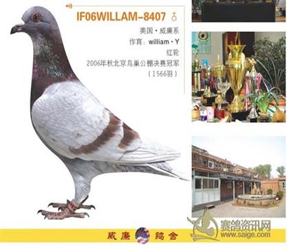 游 游