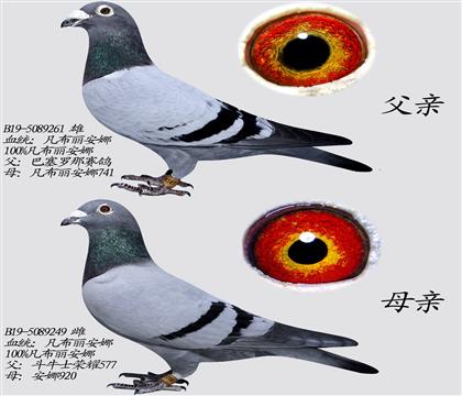 ĸ