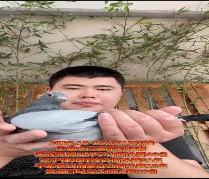 范登布克基特爾/平輩云南豪庭公棚決賽18名