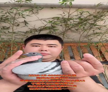 范登布克基特爾/平輩獲云南天南銅都公棚決賽12名