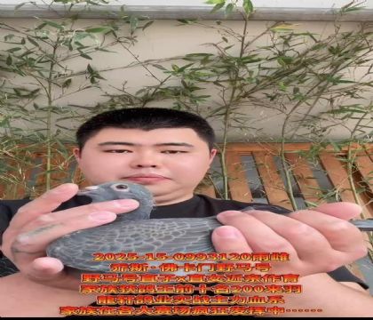 喬斯佛卡門野馬號(hào)直子X(jué)直女近親作育