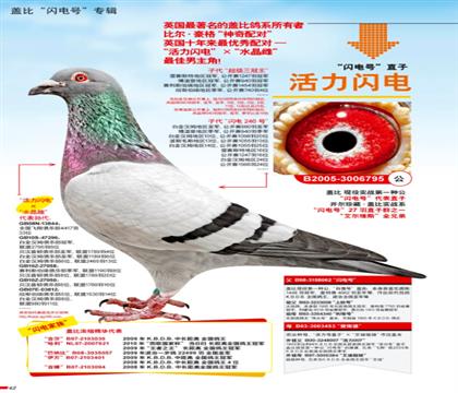 游W̖(ho)ֱ