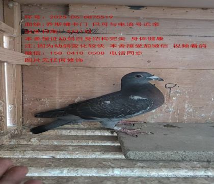 ˹TŮɡH5519