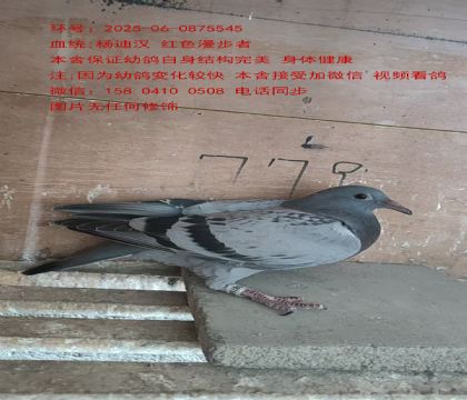 ϝh ˹46tɫ5545
