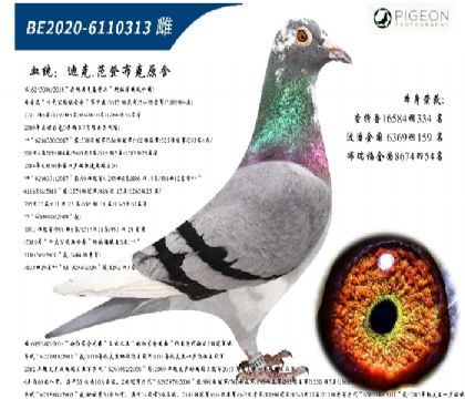 Ͽ˷ǲ˻ؠ006ֱŮ؄e]