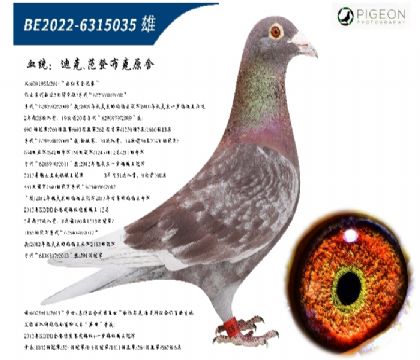 Ͽ˷ǲԭᣨ؄e]ٶһ