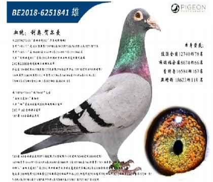 WR˹003ֱֱŮ(zhn)N