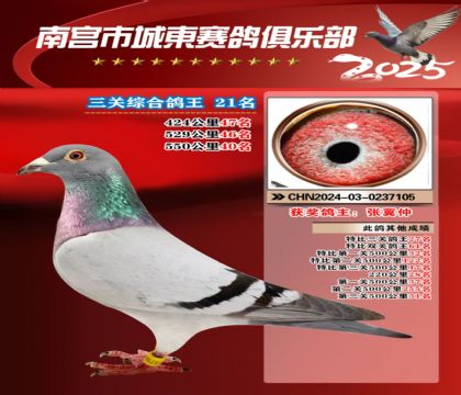 南宮城東三關(guān)鴿王21名