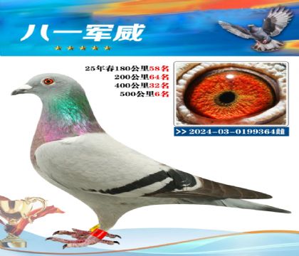 南宮城東500公里6名