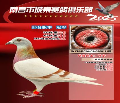 南宮城東500公里大排名6名