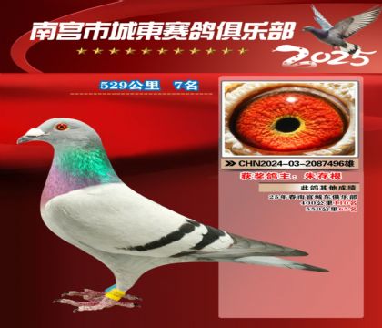 南宮城東529公里7名