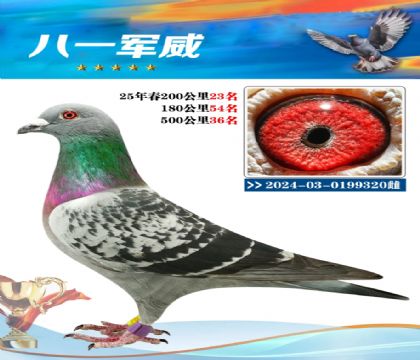 南宮城東500公里36名