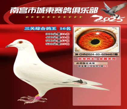 南宮城東三關(guān)鴿王16名