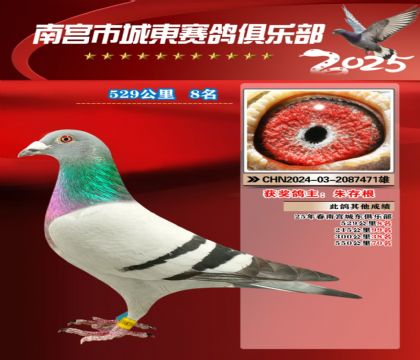 南宮城東529公里8名
