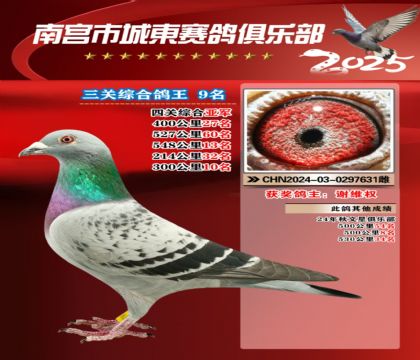 南宮城東三關(guān)鴿王9名