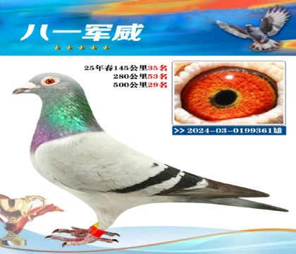 南宮城東500公里29名