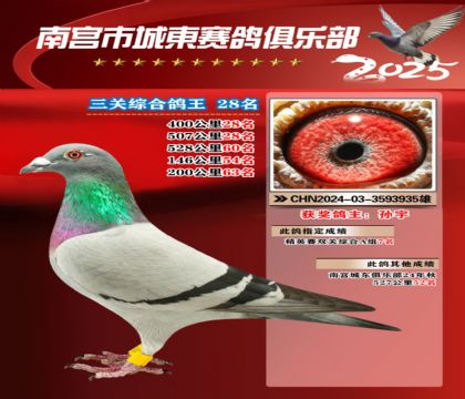 南宮城東三關(guān)鴿王28名