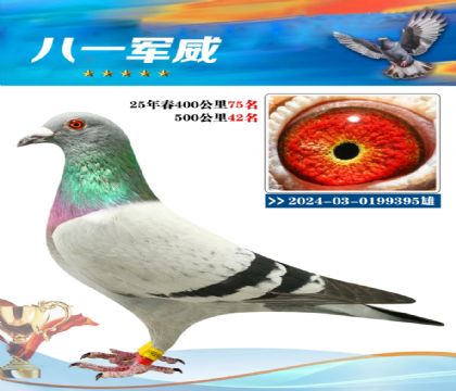 南宮城東500公里42名