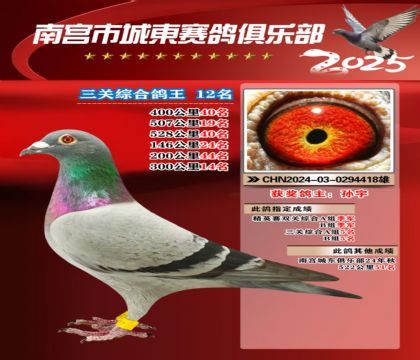 南宮城東三關(guān)鴿王12名