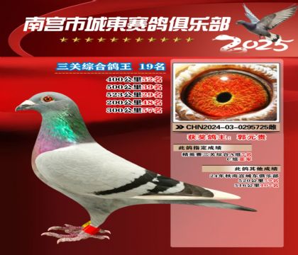 南宮城東三關(guān)鴿王19名
