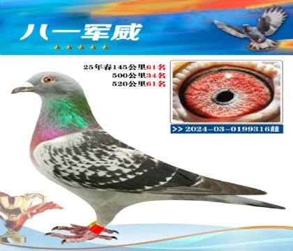 南宮城東520公里61名
