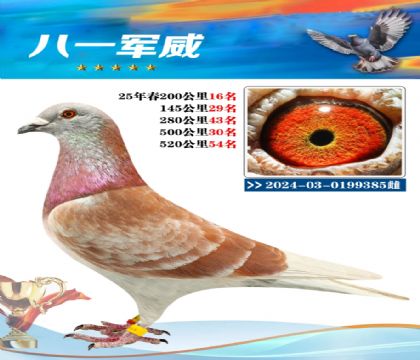 南宮城東520公里24名