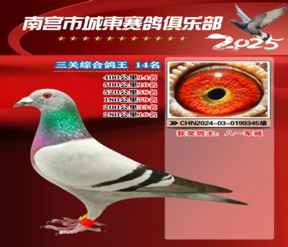南宮城東三關(guān)鴿王14名