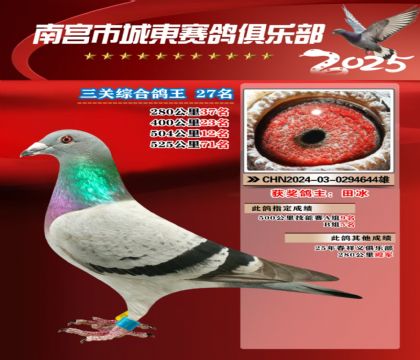 南宮城東三關(guān)鴿王27名