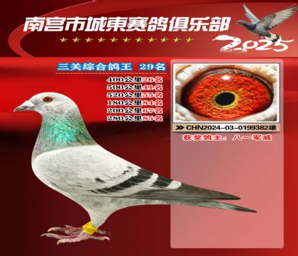 南宮城東三關(guān)鴿王29名