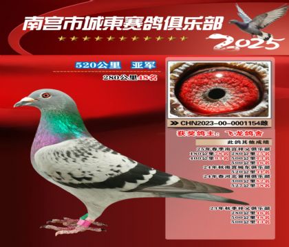 南宮城東520公里亞軍