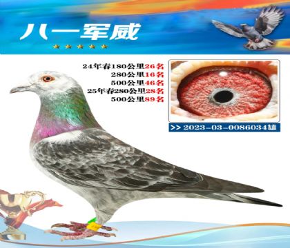 南宮城東500公里89名