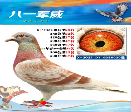 南宮城東520公里37名