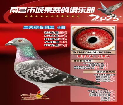 南宮城東三關(guān)鴿王4名