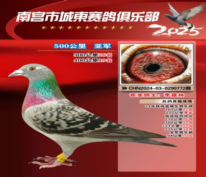 南宮城東500公里亞軍