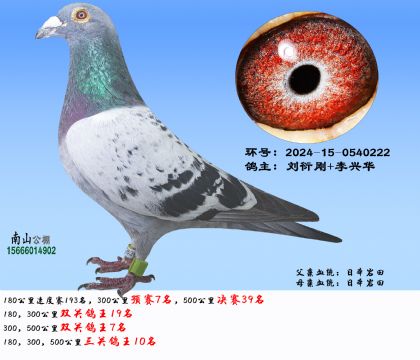 P(gun)10300A(y)ِ7