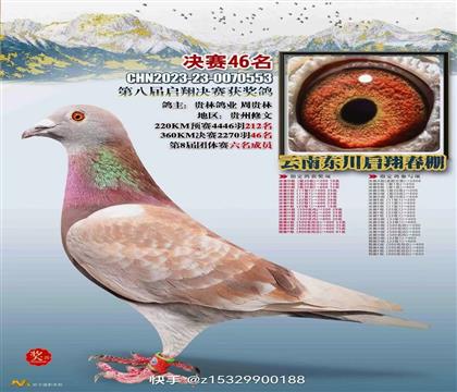 ֱO蹫46