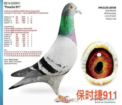 游r911