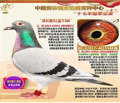 Hr911ֱ