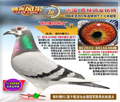 ĸHr911OŮ